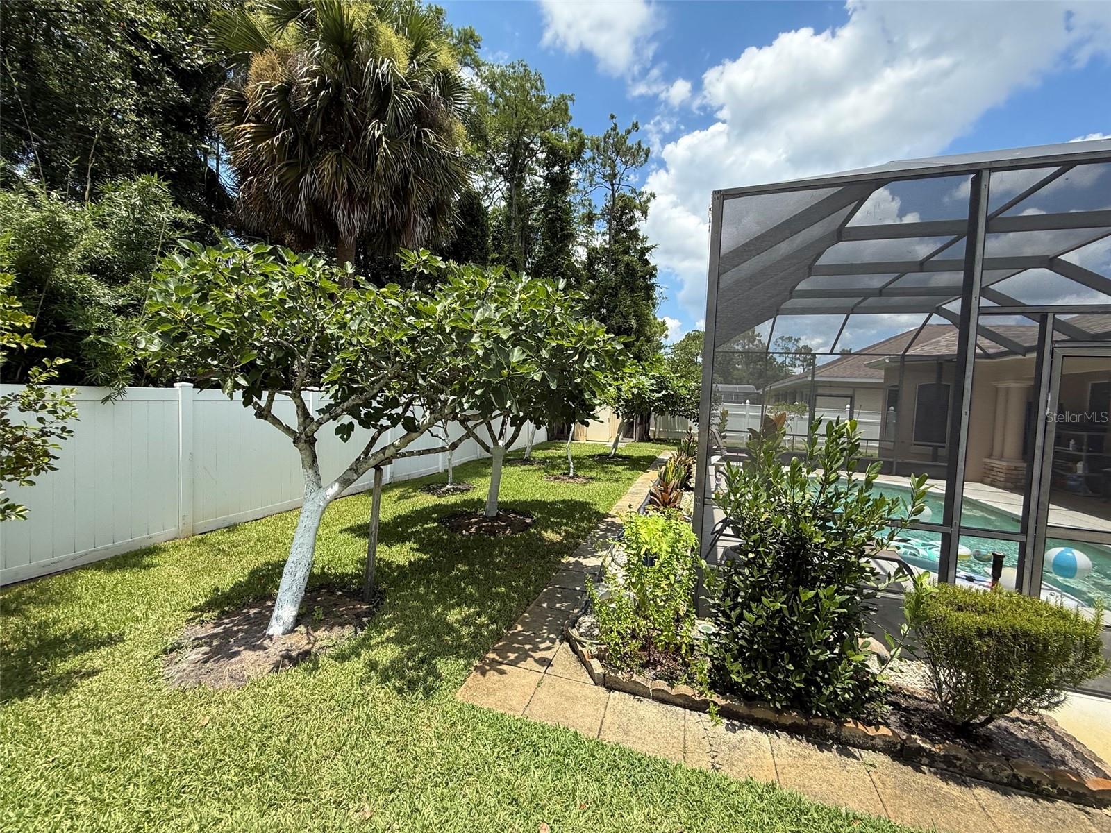 96 Esperanto Dr Property Photo 39