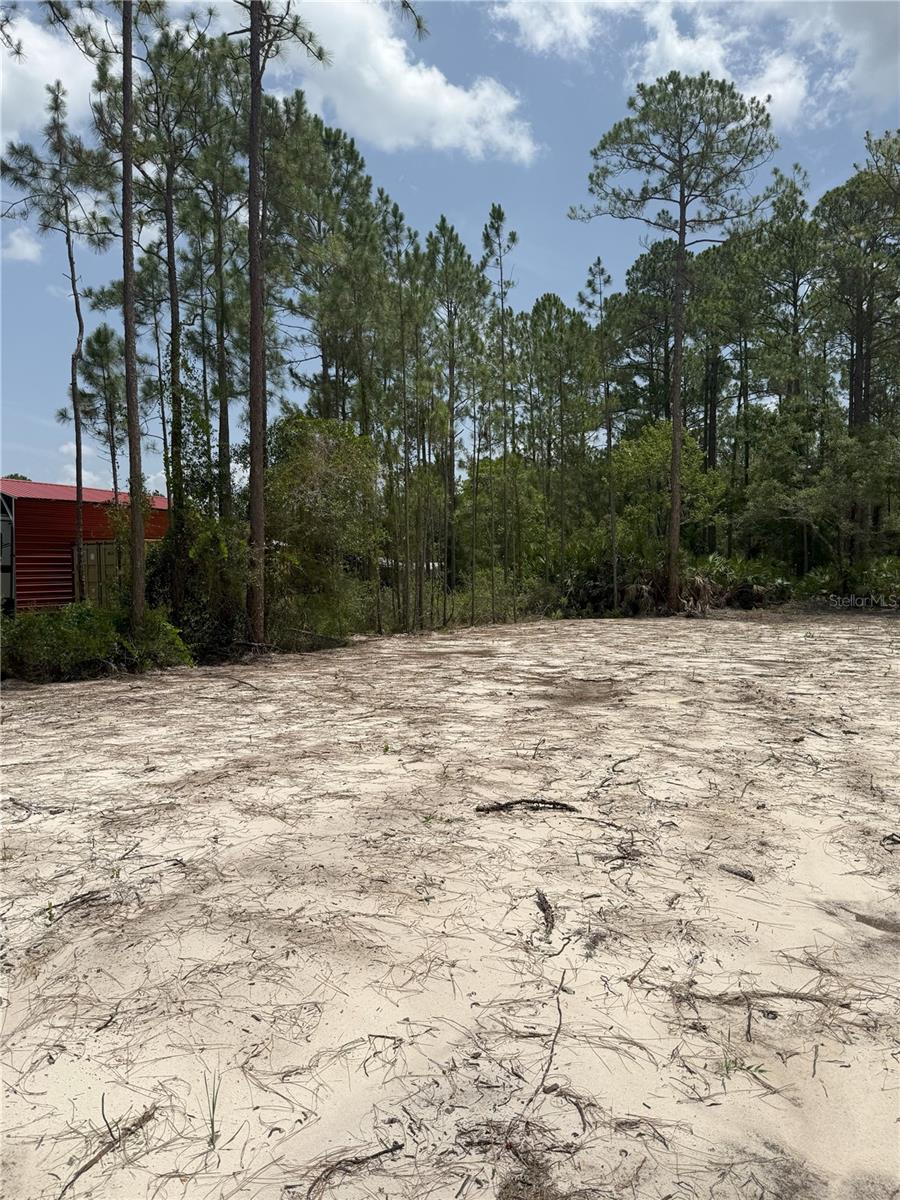 1573 Laurel Ave Property Photo 4