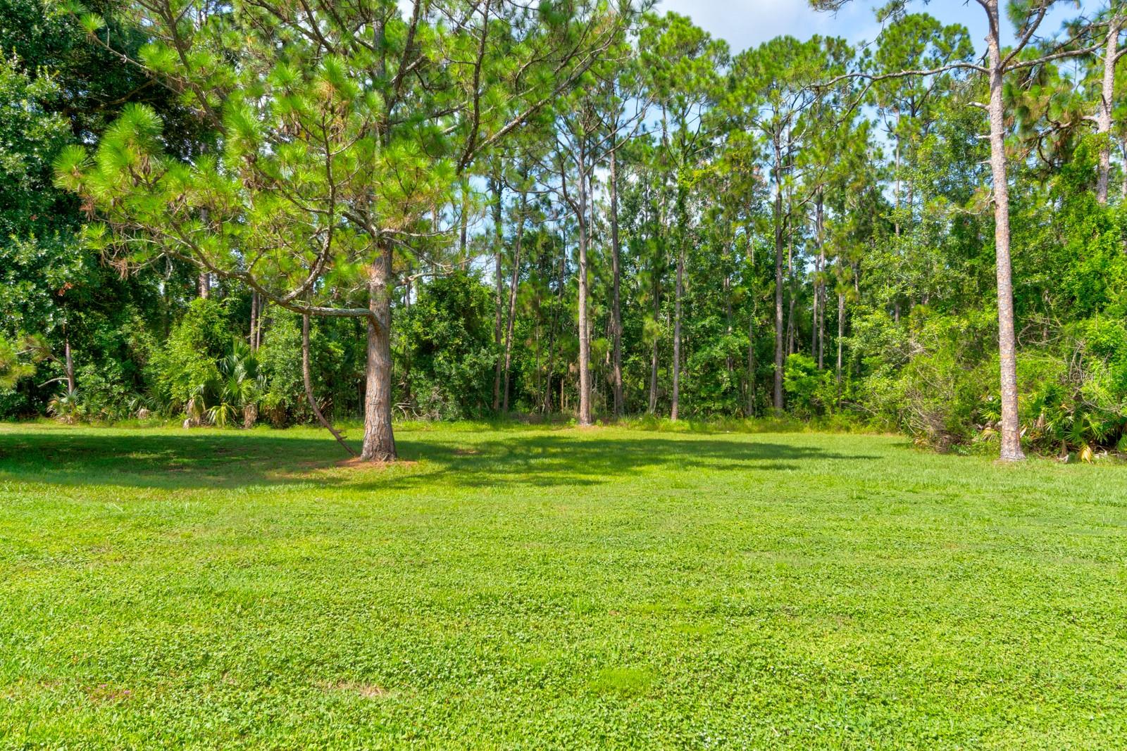 317 Glenbriar Cir Property Photo 13