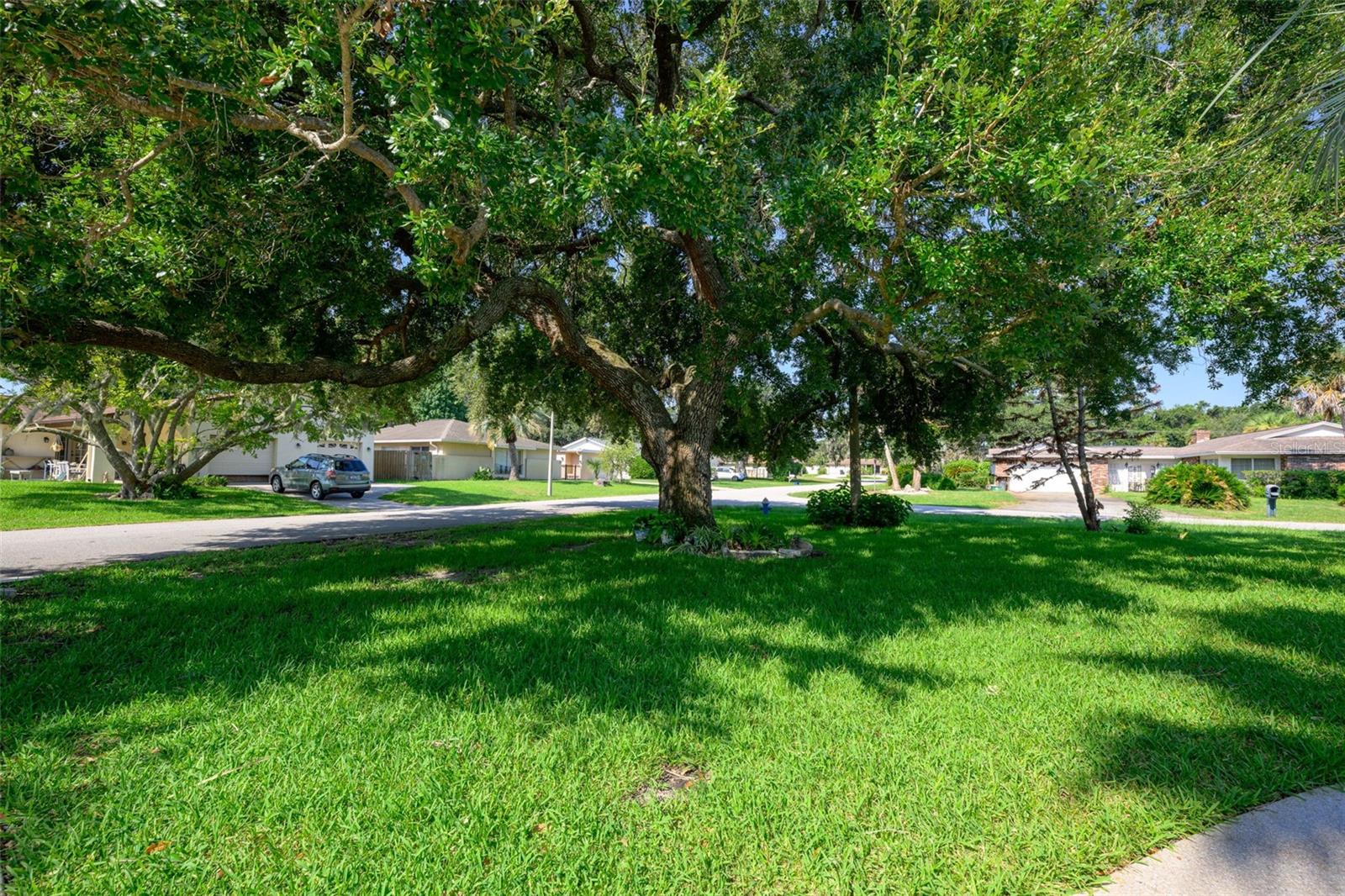30 Fernham Ln Property Photo 30