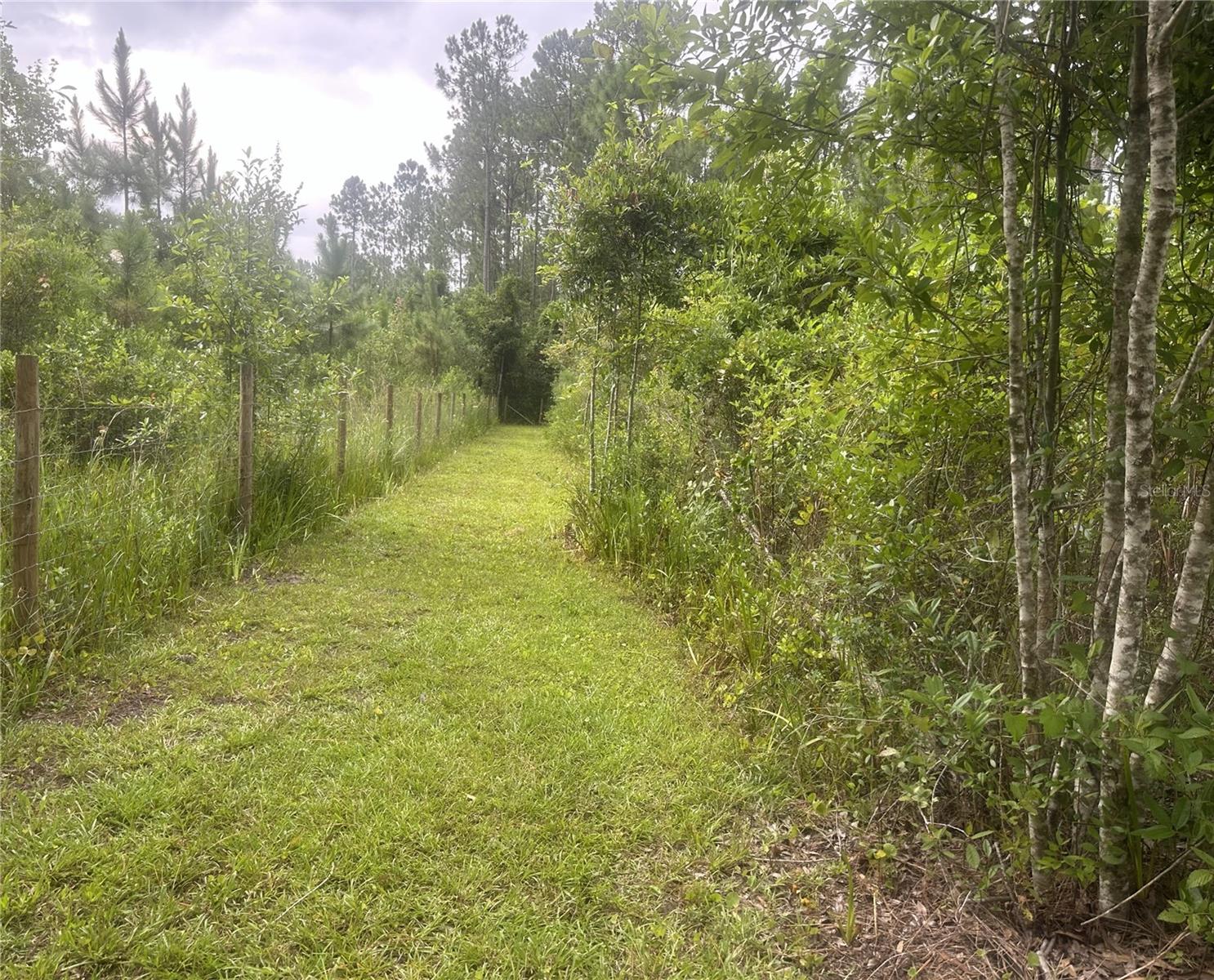 10220 Crotty Ave Property Photo 15