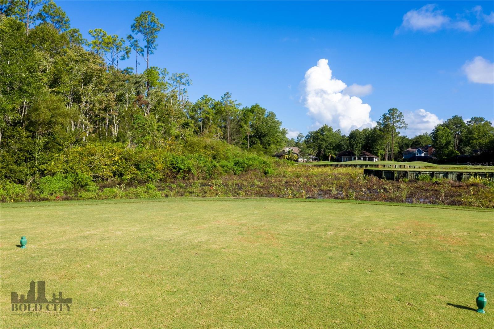 1413 Course View Property Photo 67