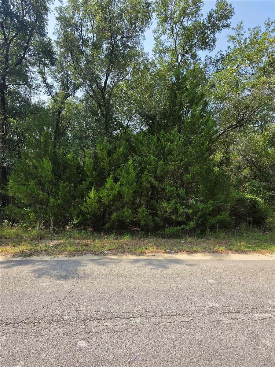 Duval Ave Property Photo 2