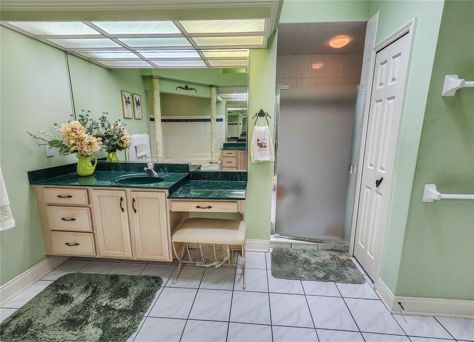 1308 Wicklow Ln Property Photo 37