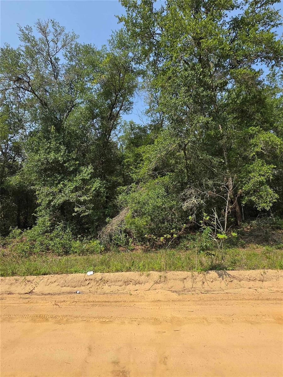 0 Sherman Drive Circle Property Photo 1