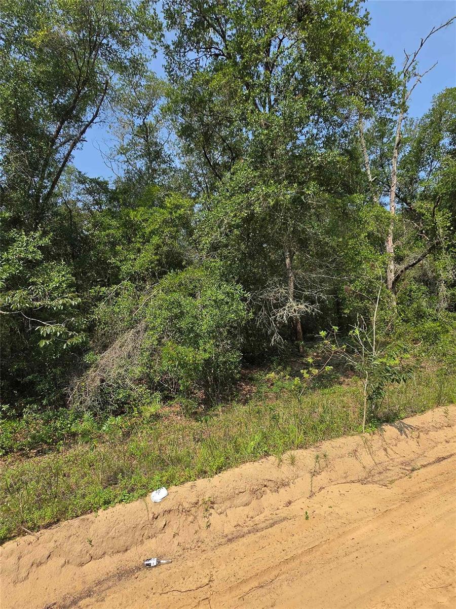 0 Sherman Drive Circle Property Photo 2