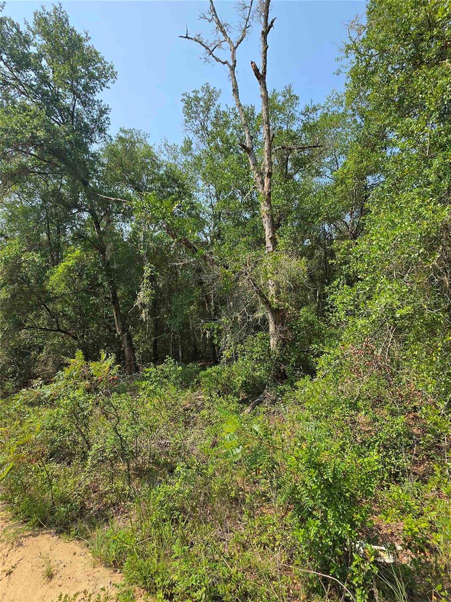 0 Sherman Drive Circle Property Photo 3