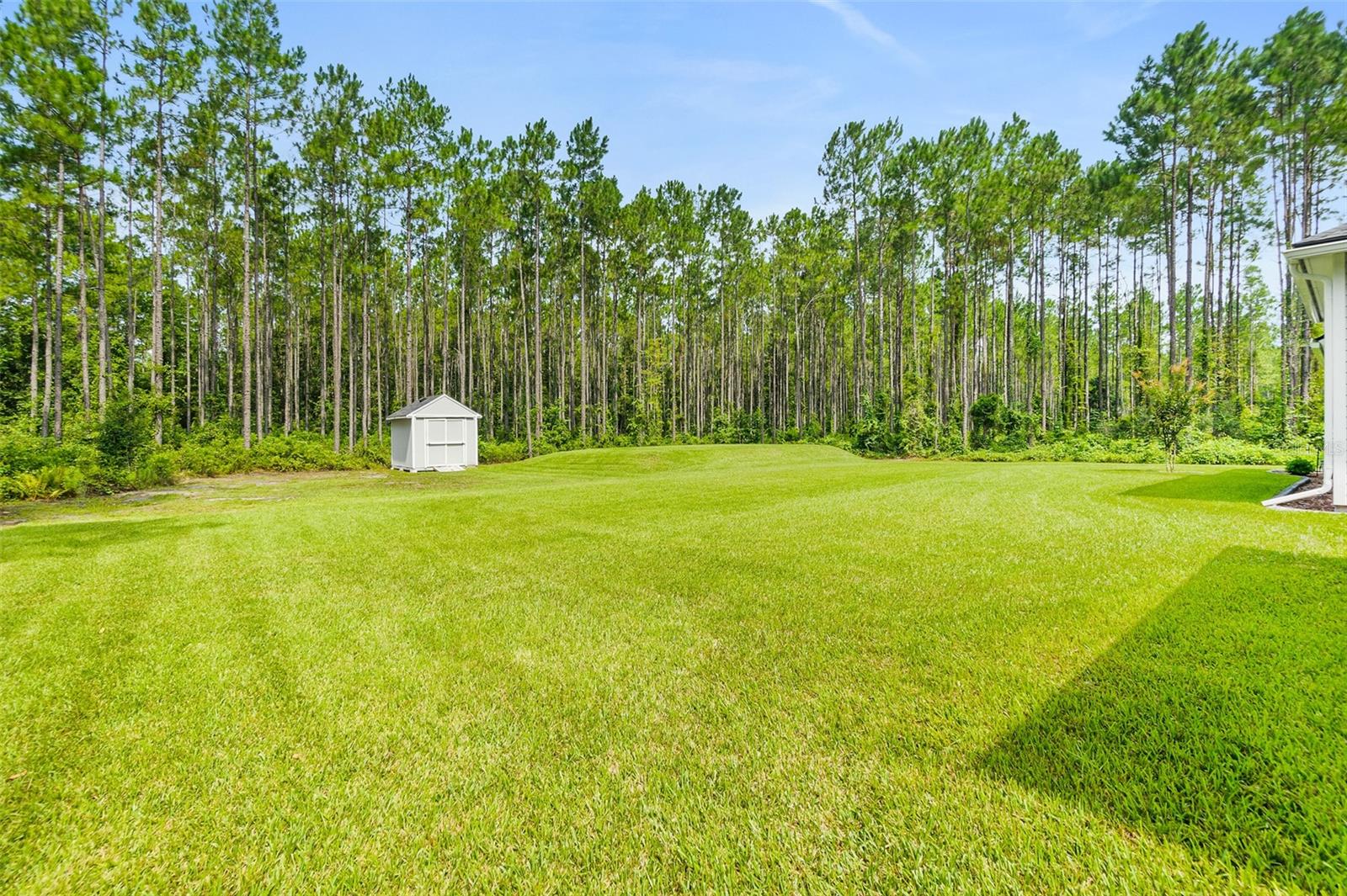 2505 Cabbage Hammock Rd Property Photo 29
