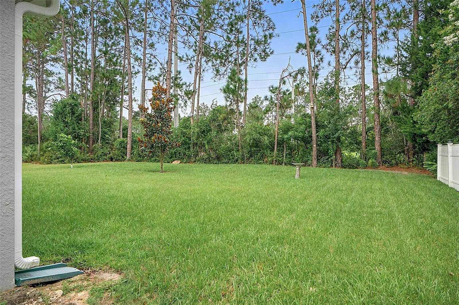 177 Underwood Trl Property Photo 52