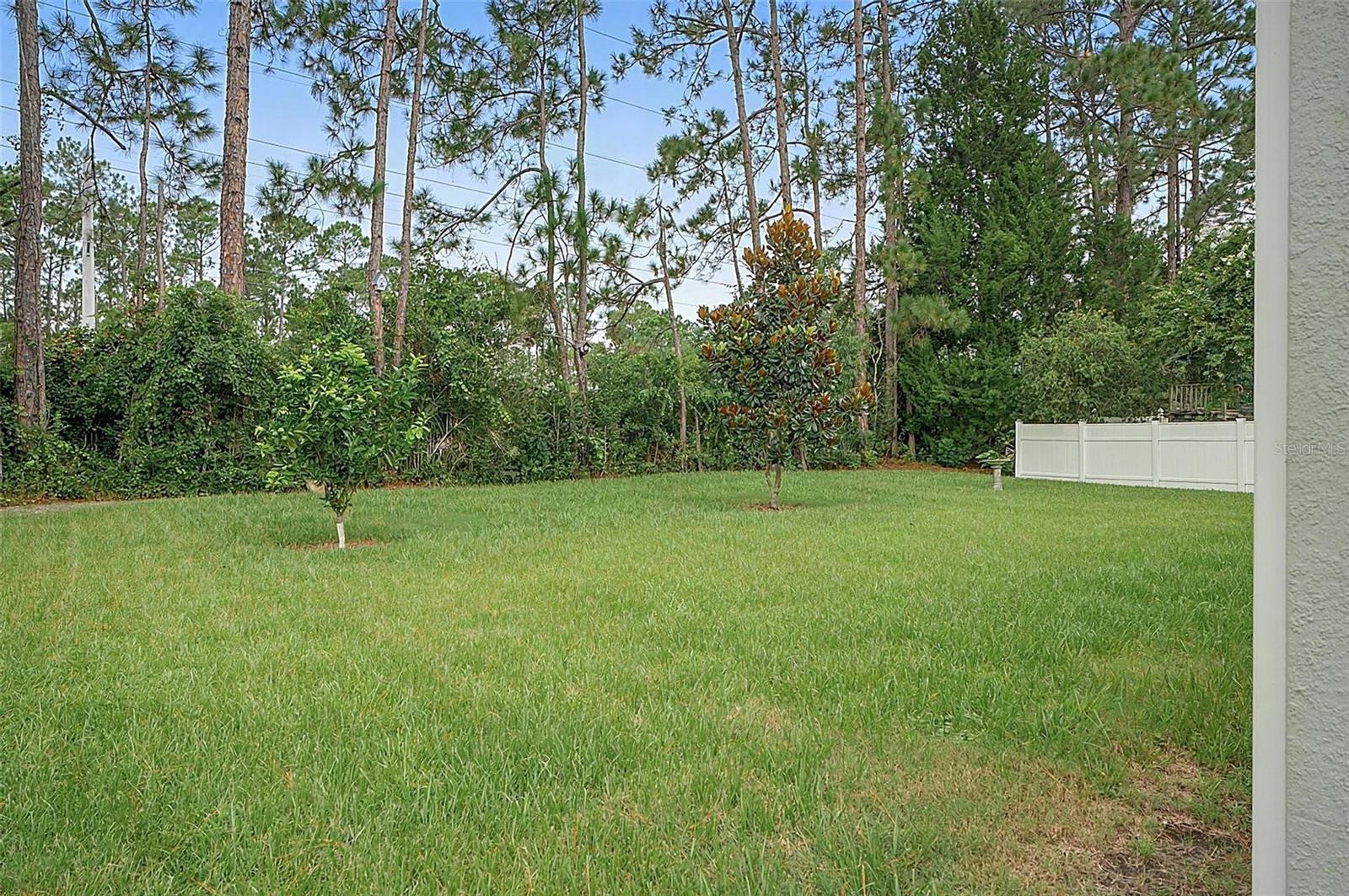 177 Underwood Trl Property Photo 53
