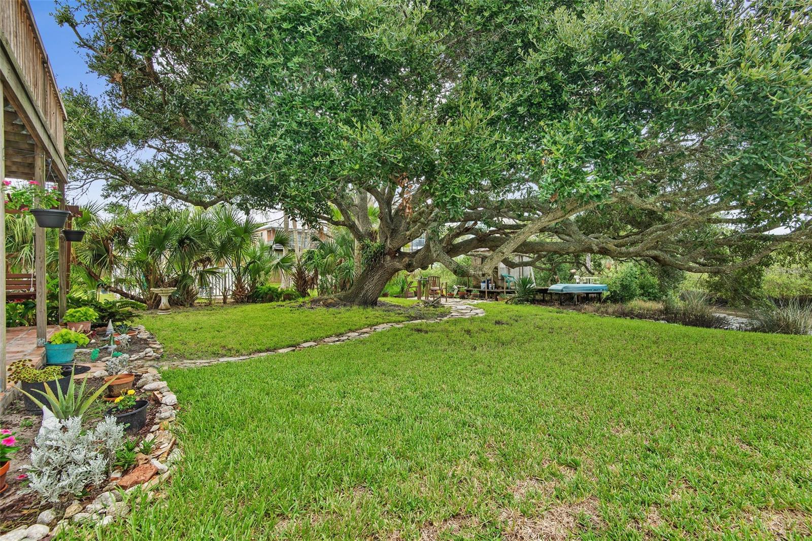 309 Cypress St Property Photo 43