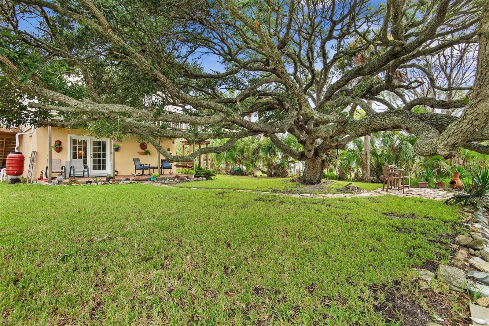309 Cypress St Property Photo 44