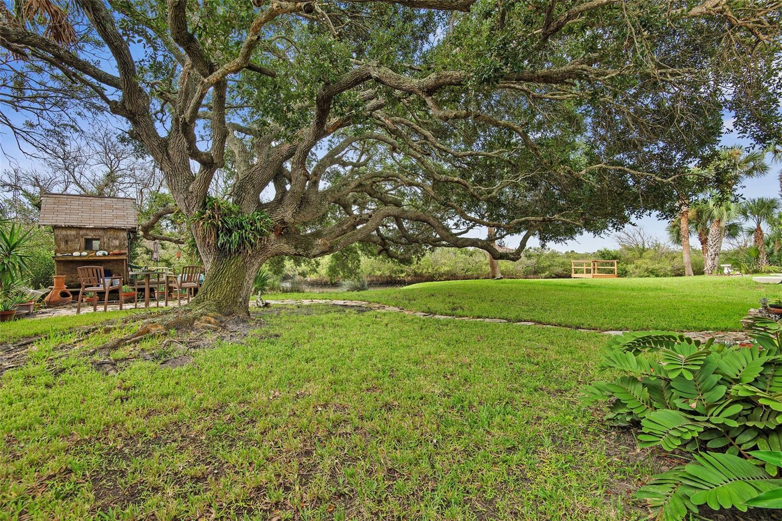309 Cypress St Property Photo 46