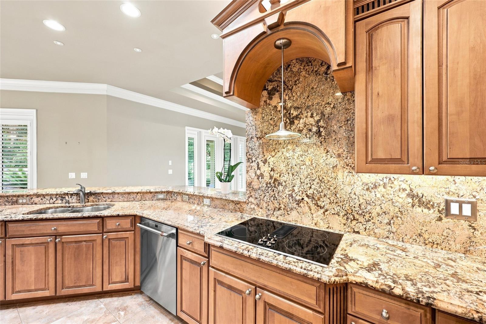 5 Roma Ct Property Photo 21