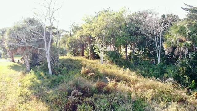 5 Colonia Ct Property Photo 14