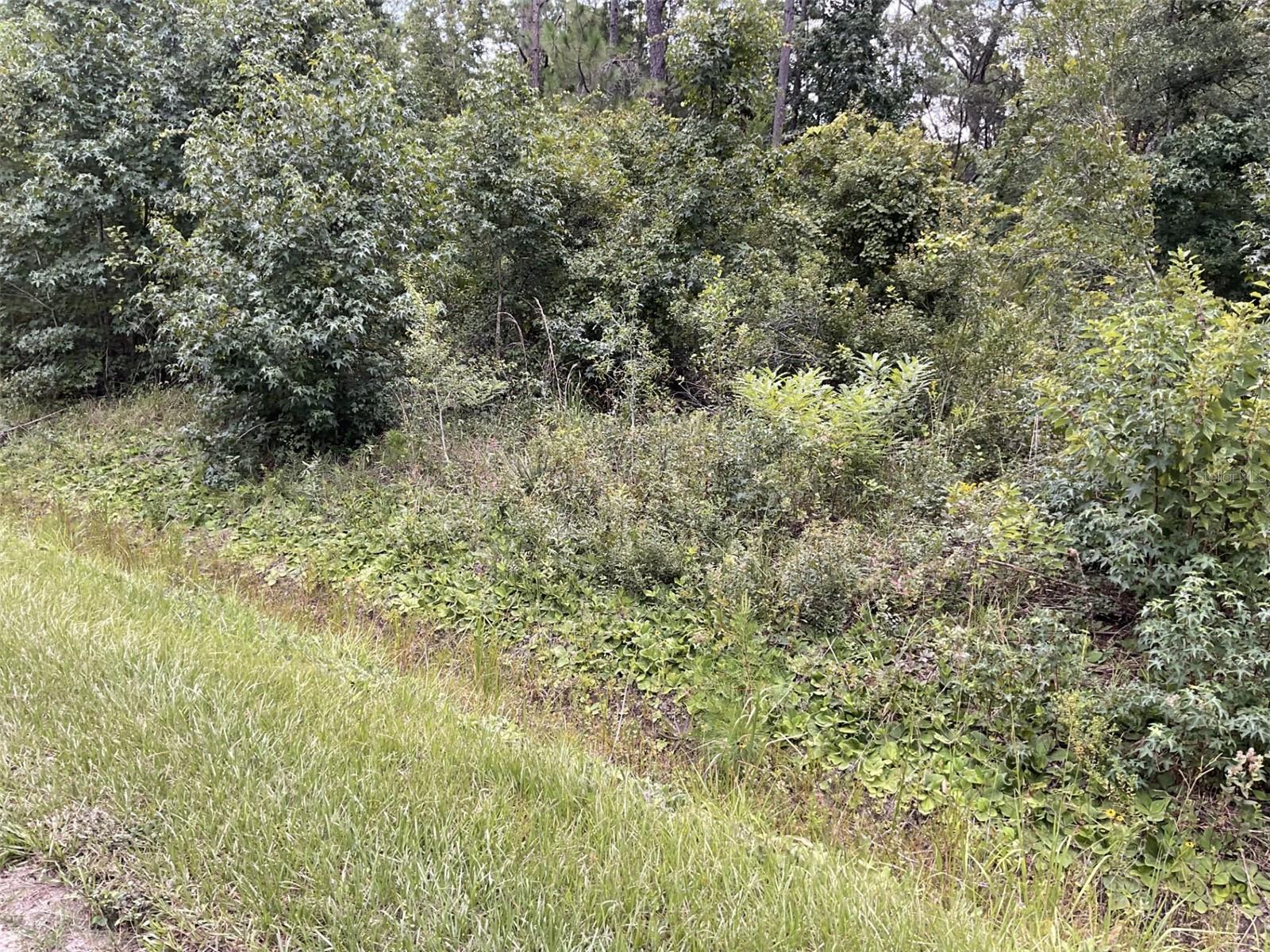 10210 Vaughan Ave Property Photo 1
