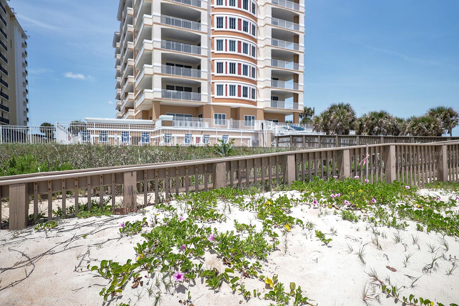 1425 Ocean Shore Blvd #203 Property Photo 43