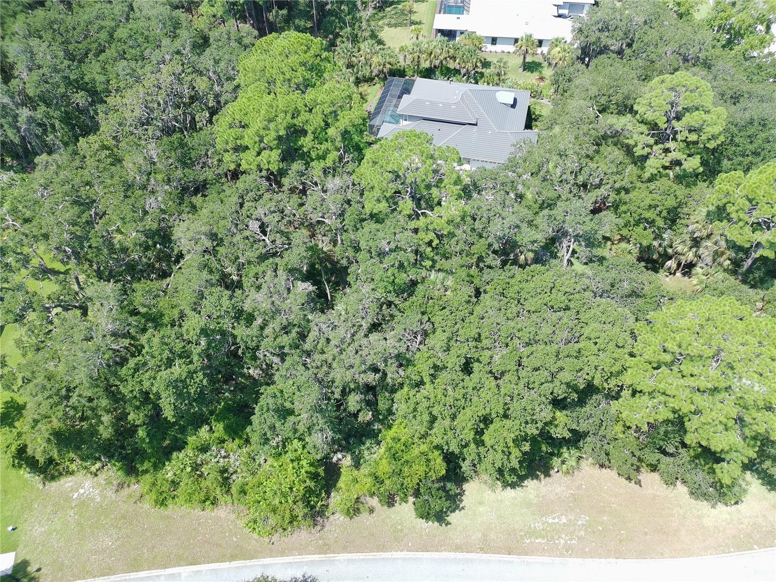 4 Turkey Oak Ln Property Photo 17