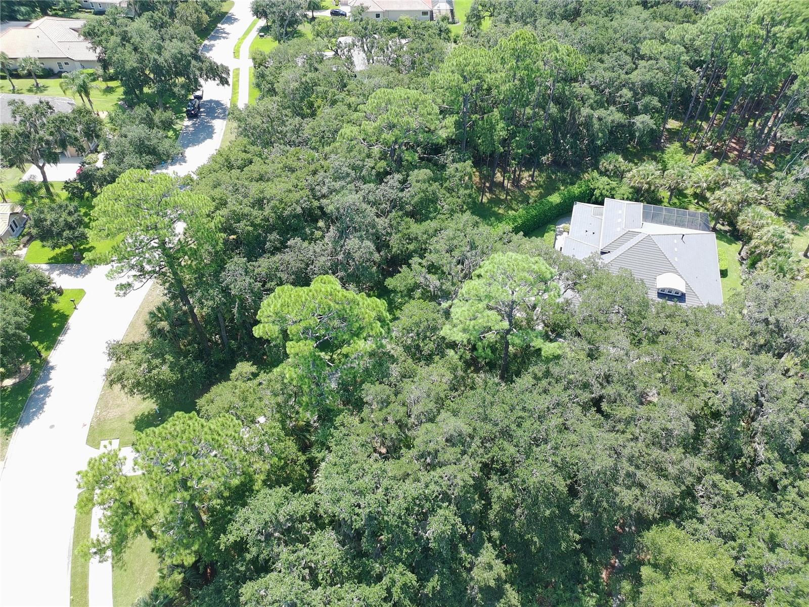 4 Turkey Oak Ln Property Photo 18