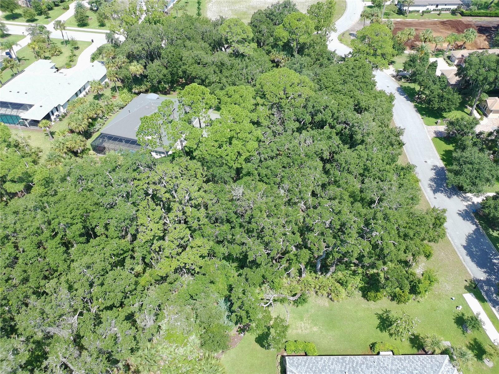 4 Turkey Oak Ln Property Photo 20