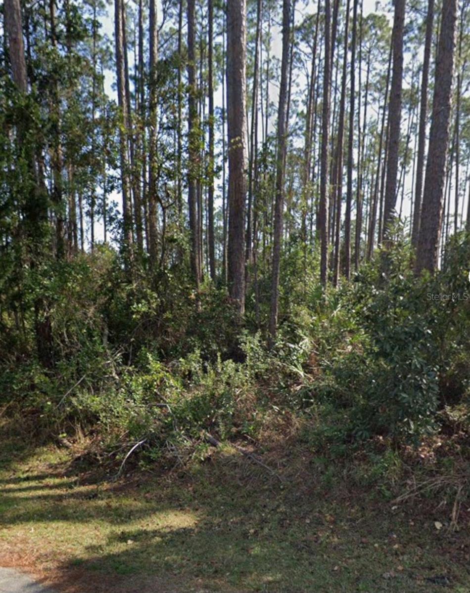 21 ERICKSON PL Property Photo 1