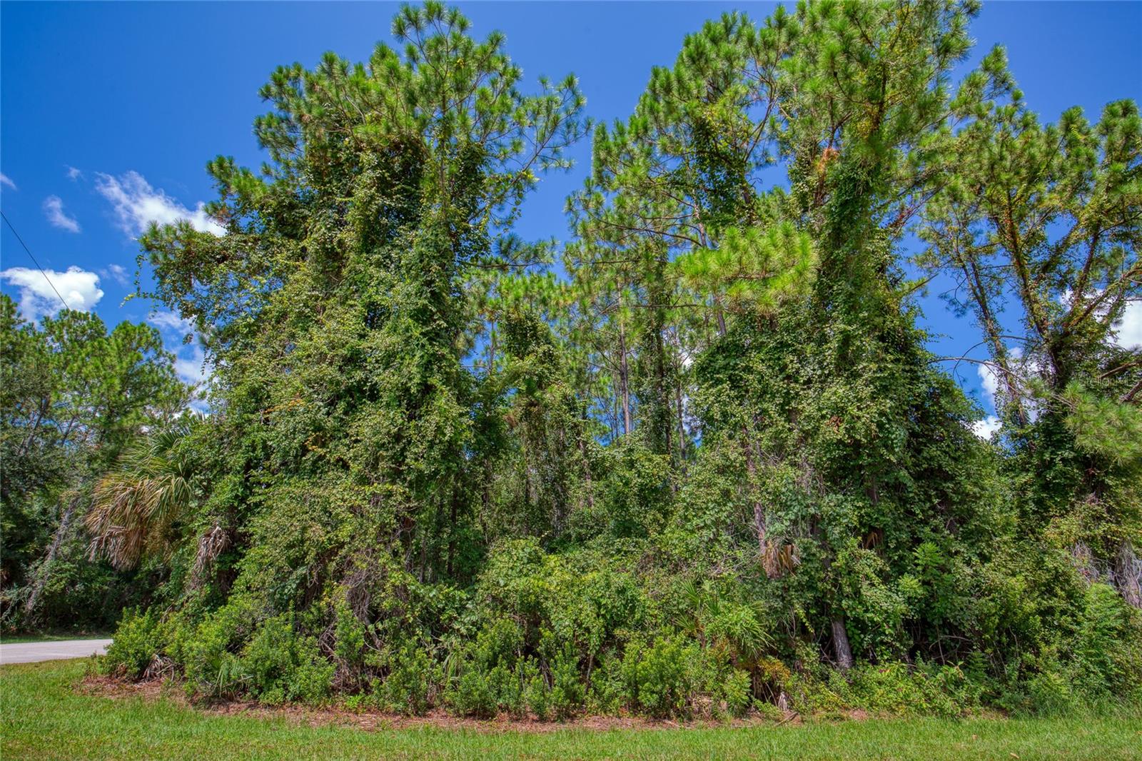 32 Uhl Path Property Photo 4