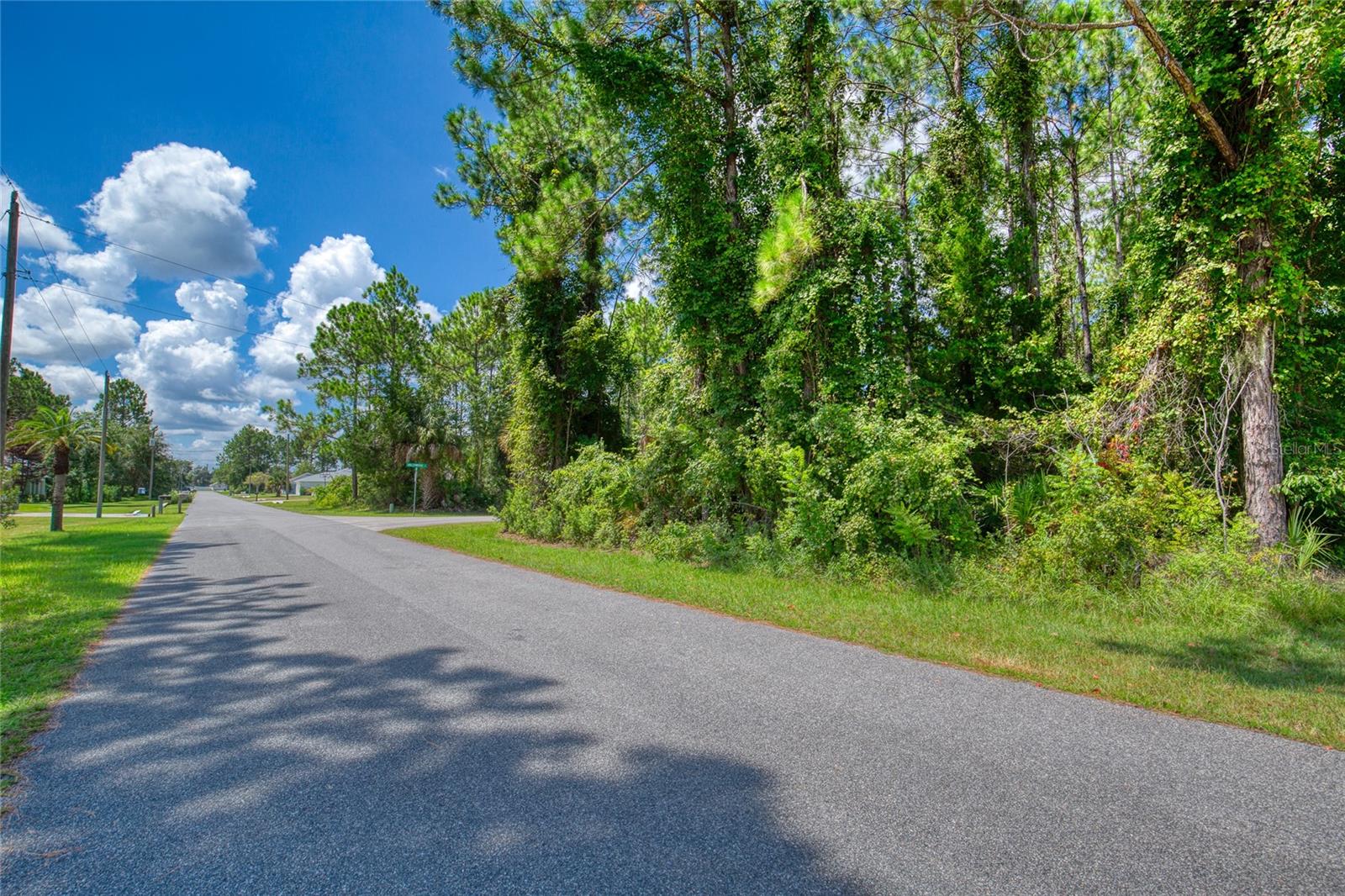 32 Uhl Path Property Photo 5