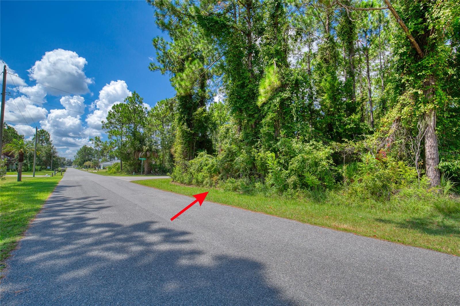 32 Uhl Path Property Photo 6