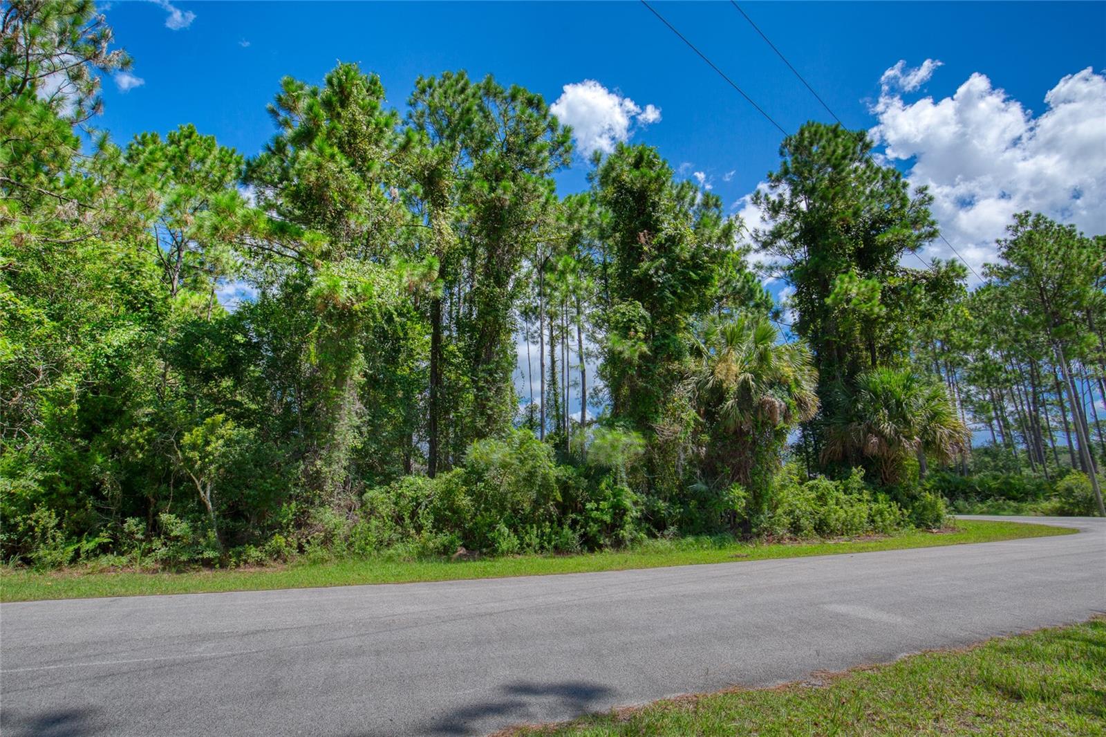 32 Uhl Path Property Photo 9
