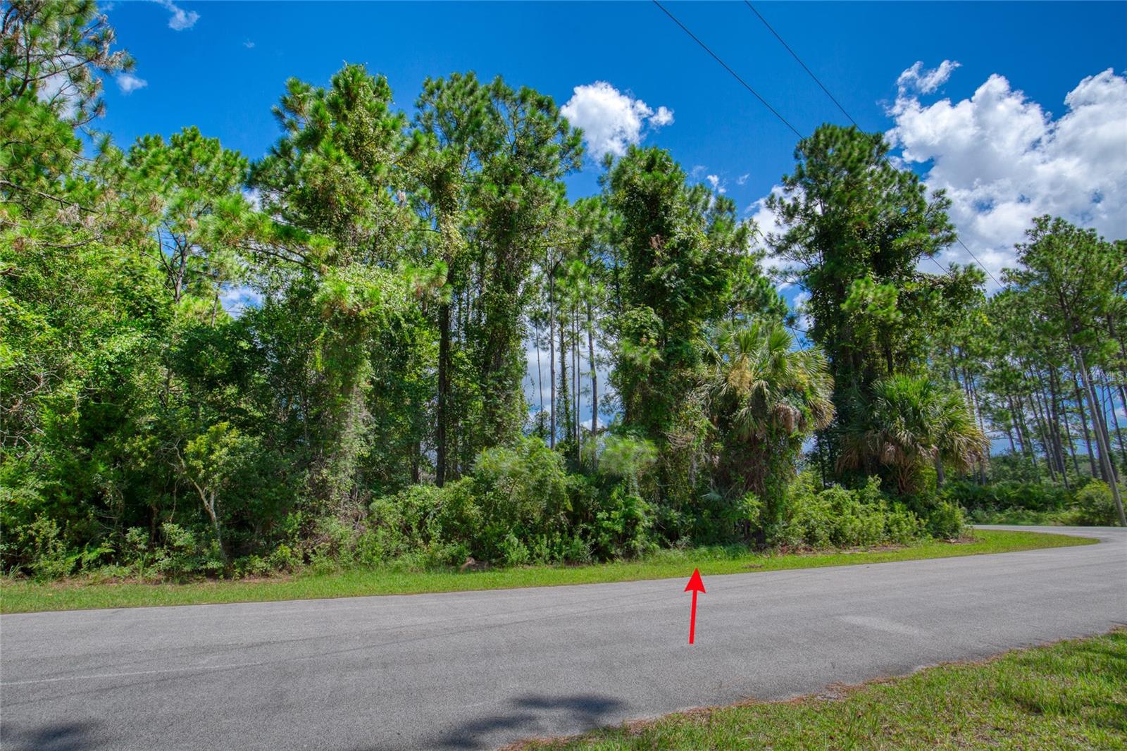 32 Uhl Path Property Photo 10
