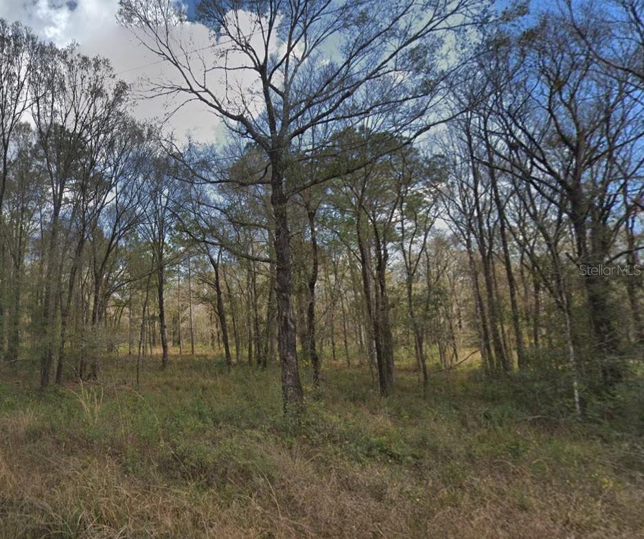 10300 Stycket Ave Property Photo 1