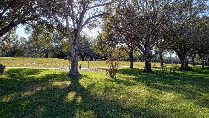 1181 Athlone Way Property Photo 10