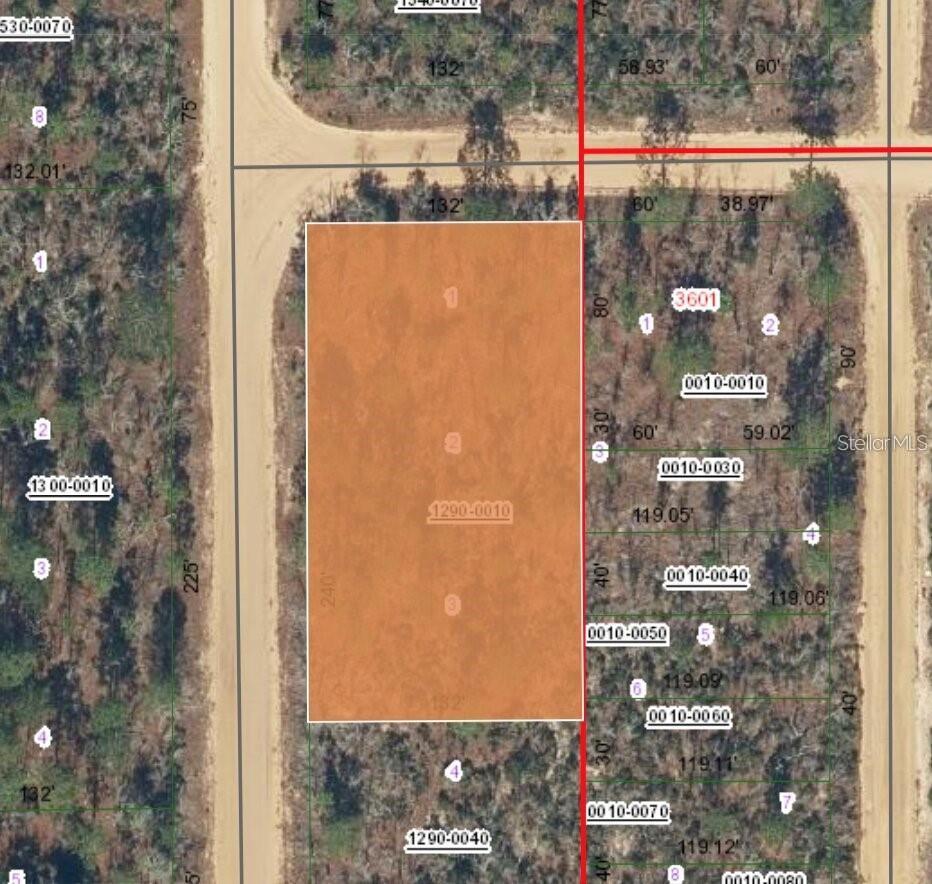 Xx Orchid Ave Property Photo 1