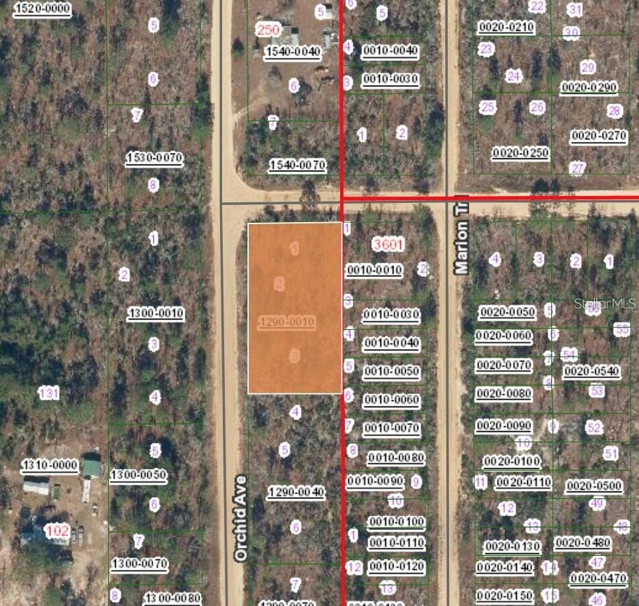 Xx Orchid Ave Property Photo 2
