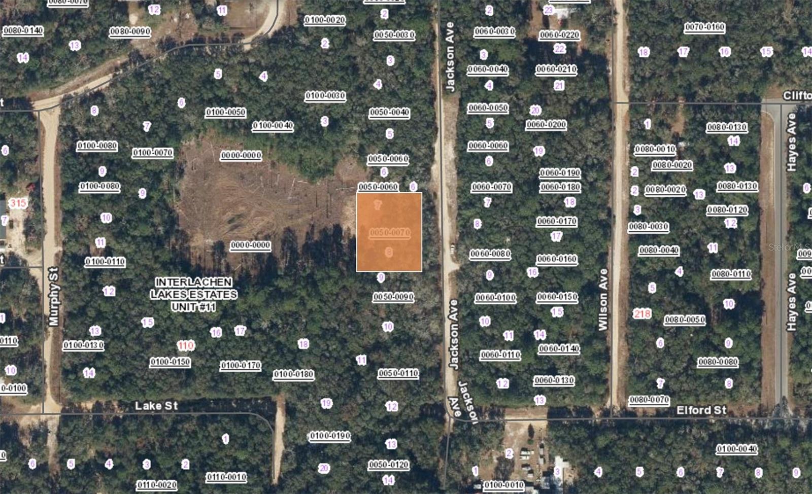 Xx Jackson Ave Interlachen Fl Property Photo 2