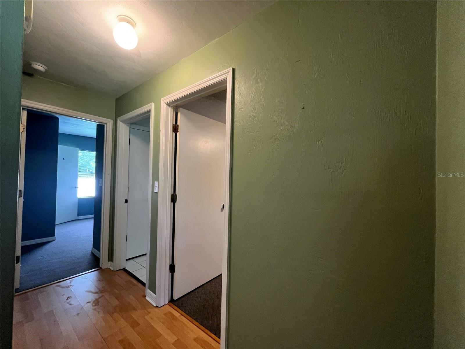 10 Zeppo Ct Property Photo 14