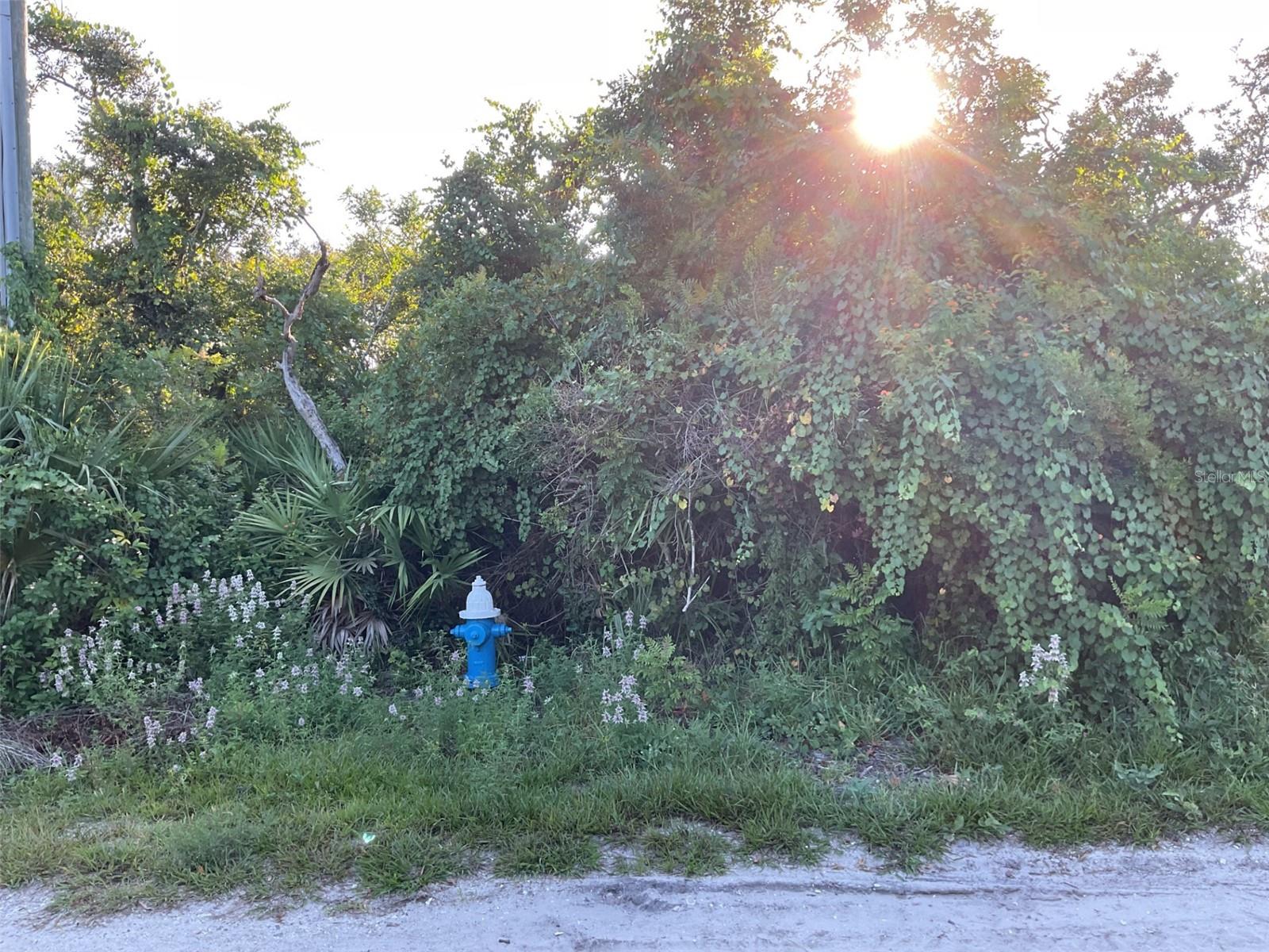 5 Dogwood Ter Property Photo 1