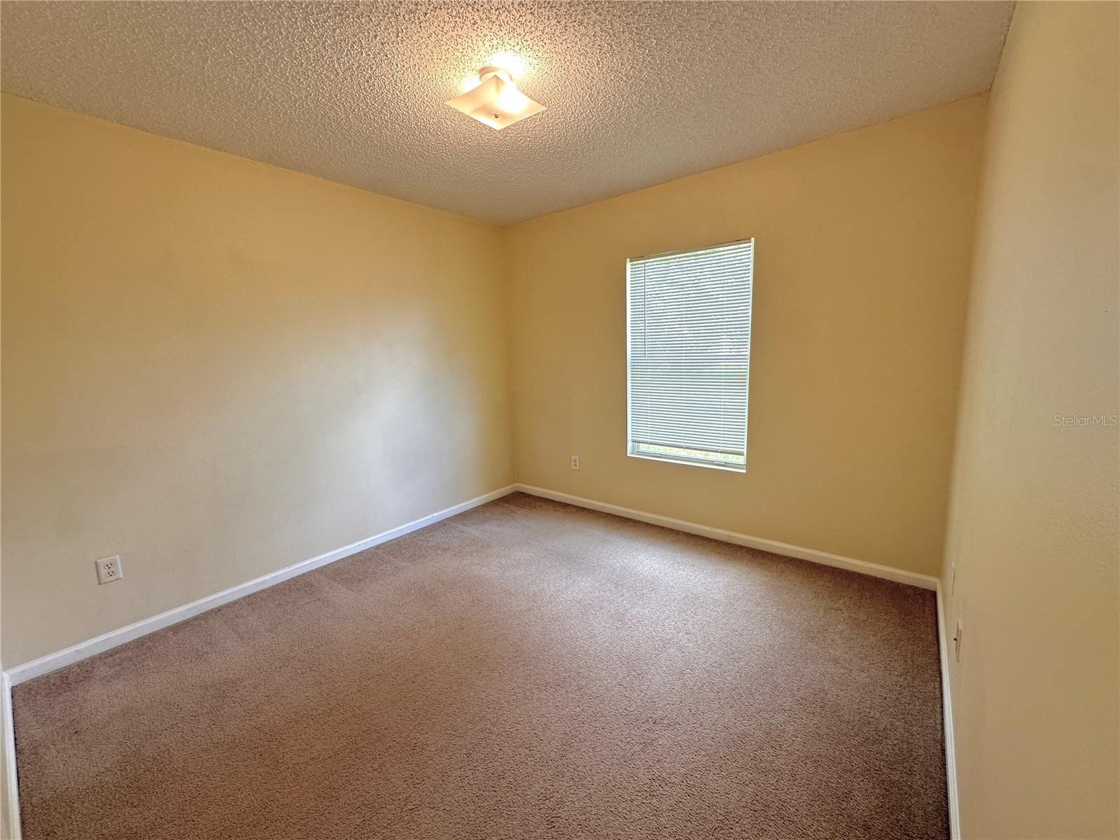89 Berkshire Ln Property Photo 21
