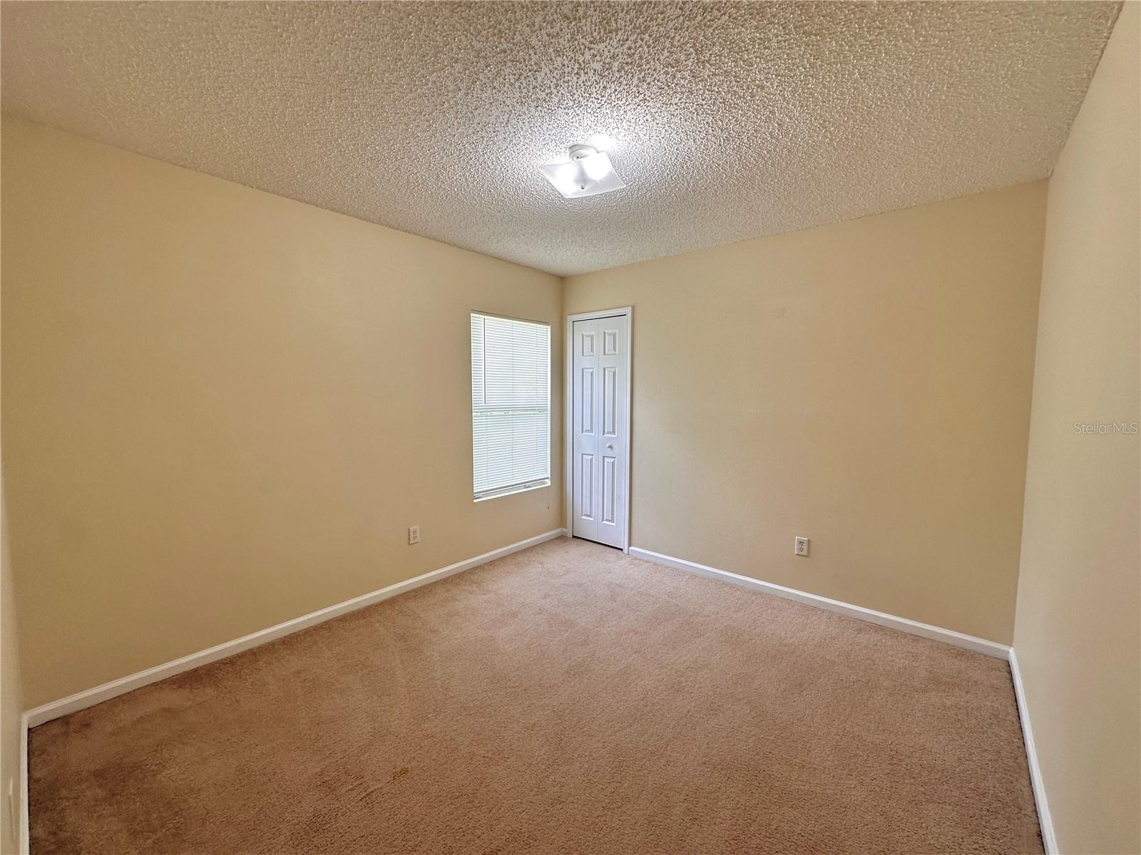 89 Berkshire Ln Property Photo 23