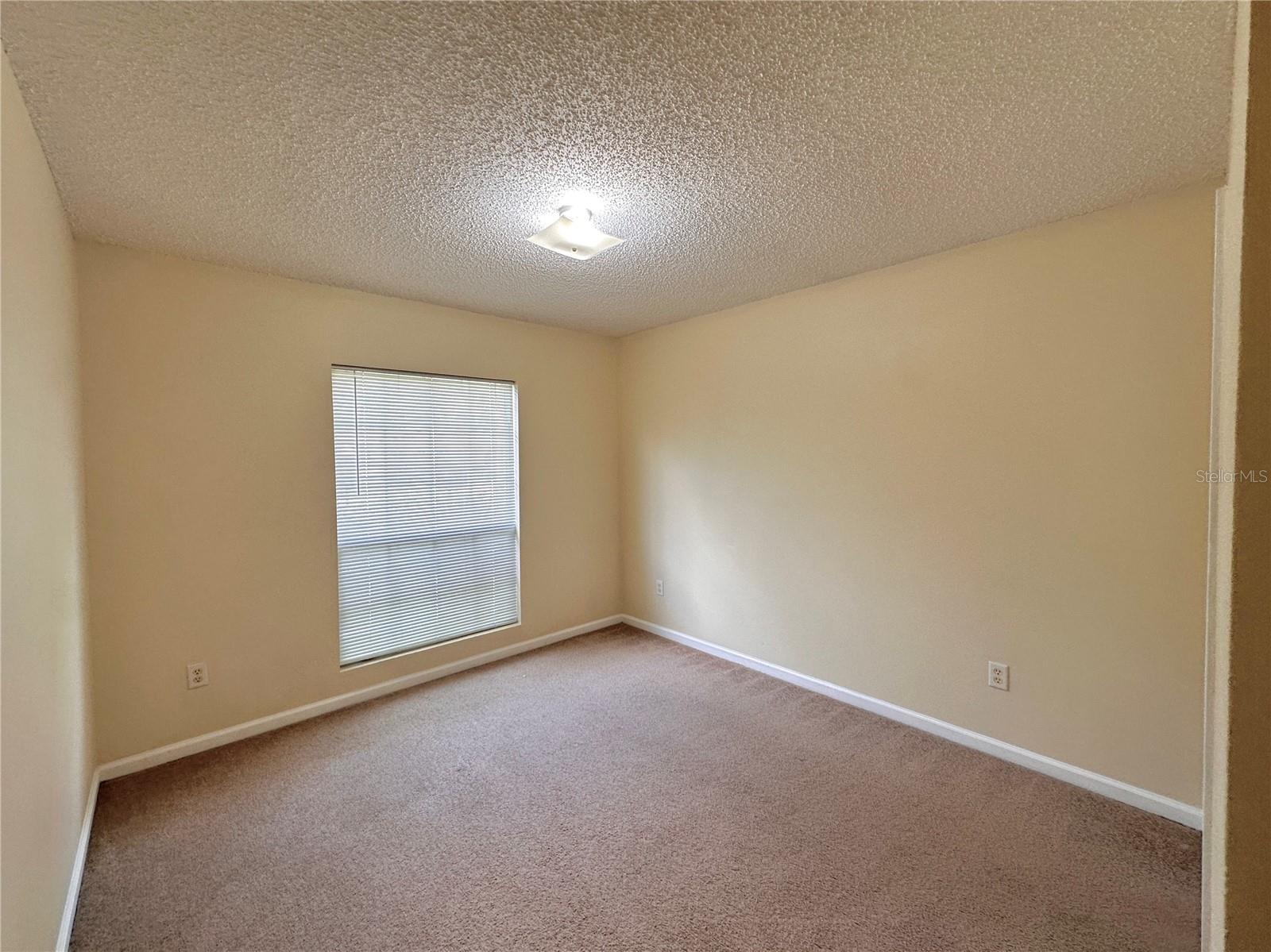 89 Berkshire Ln Property Photo 27