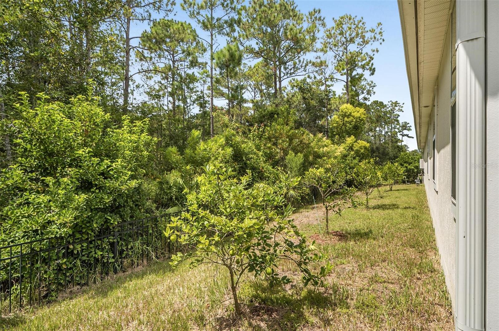 88 Birdie Way Property Photo 10