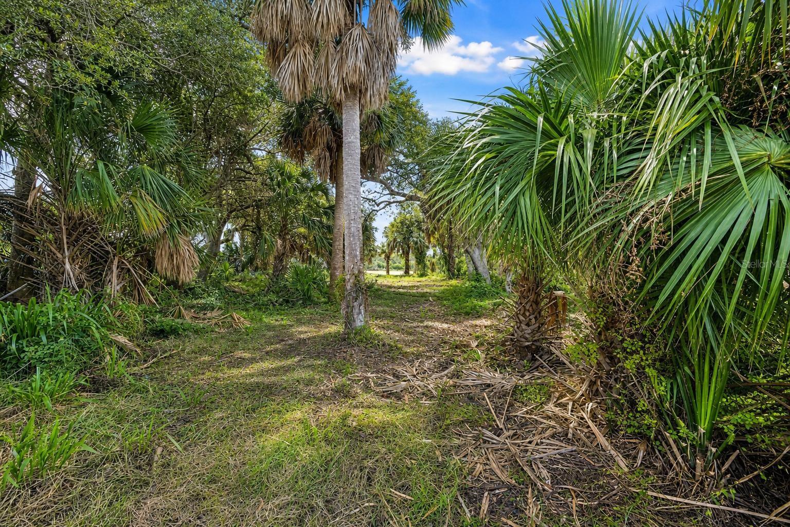 3668 John Anderson Dr Property Photo 14