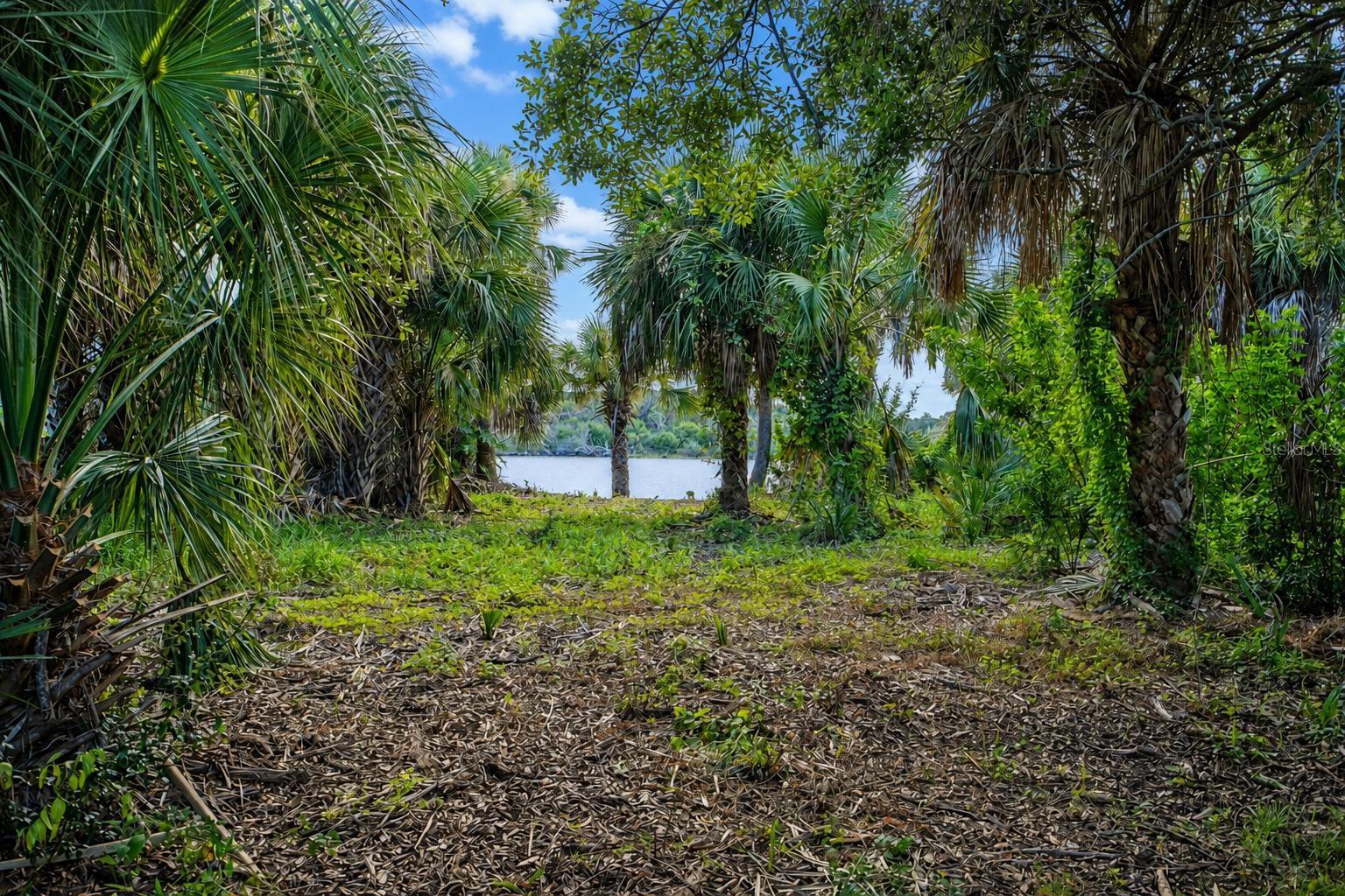 3668 John Anderson Dr Property Photo 15