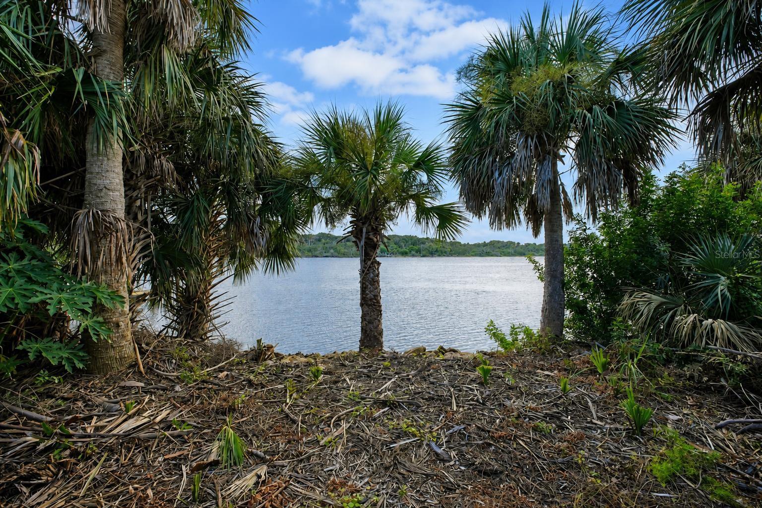 3668 John Anderson Dr Property Photo 16