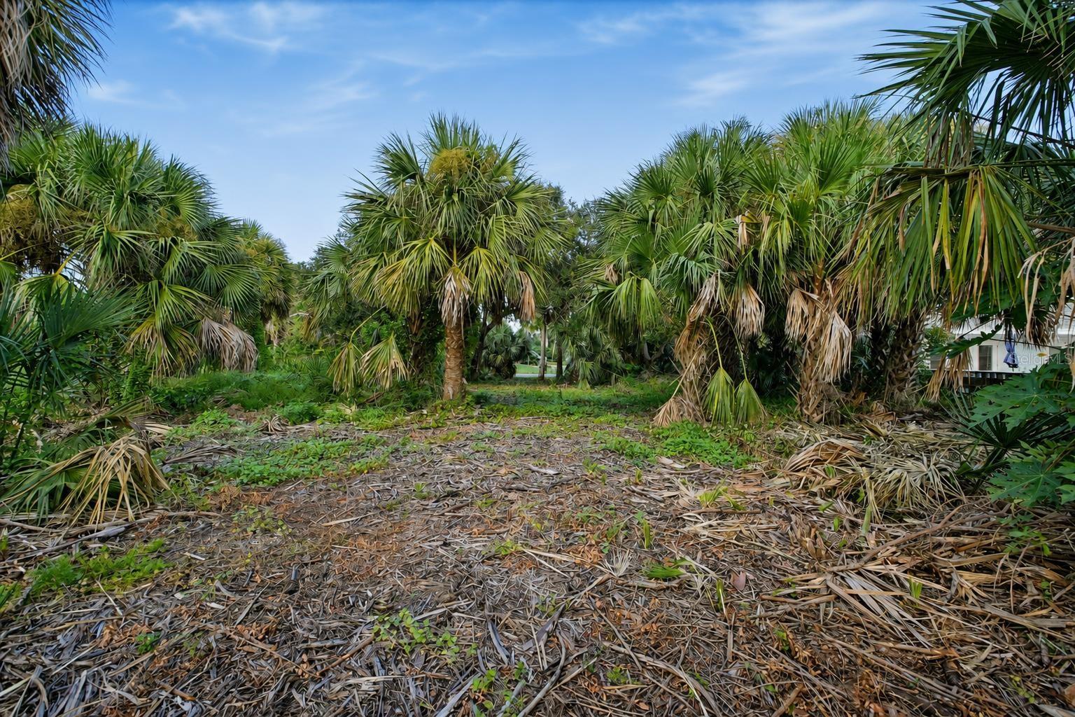 3668 John Anderson Dr Property Photo 21