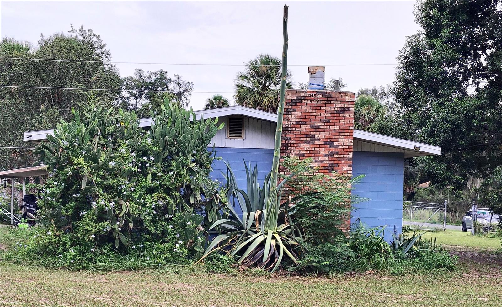 27401 Main Ave Property Photo 10