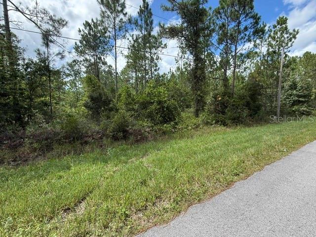 2724 Lancewood St Property Photo 5