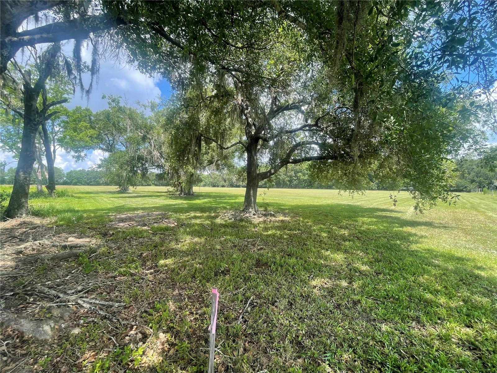 N/a Property Photo 4