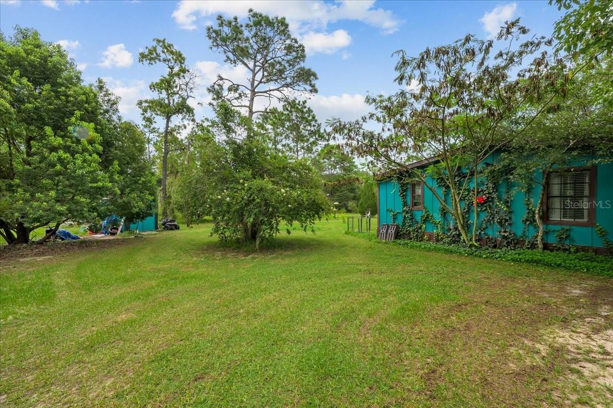 112 Birchdale Trl Property Photo 4