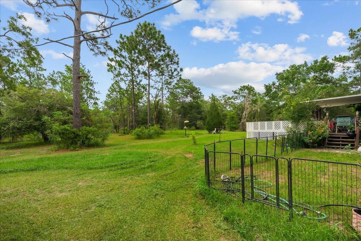 112 Birchdale Trl Property Photo 5